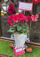 Wilmslow in Bloom - Shan